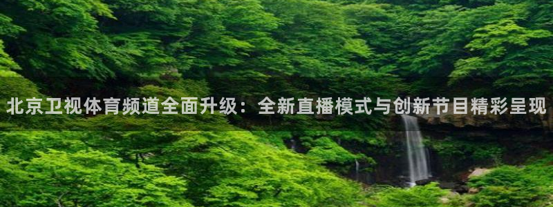 北京卫视体育频道全面升级：全新直播模式与创新节目精彩呈现