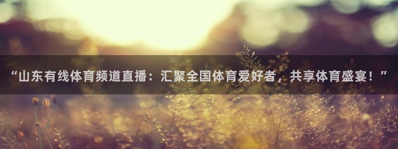 “山东有线体育频道直播：汇聚全国体育爱好者，共享体育盛宴！”