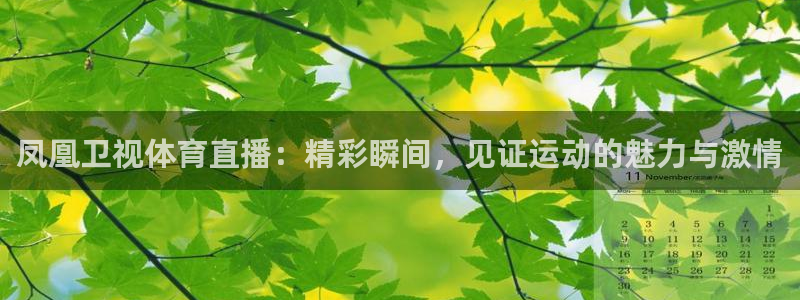 凤凰卫视体育直播：精彩瞬间，见证运动的魅力与激情