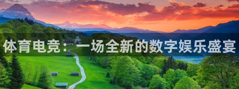 体育电竞：一场全新的数字娱乐盛宴